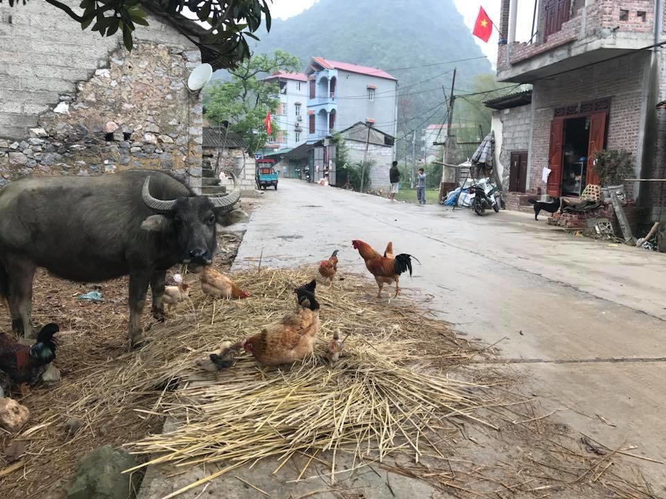 A Sy Ban Gioc Homestay - Lang Da Khuoi Ky Cao Bang Exterior photo